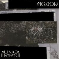 Merzbow - Live Magnetism