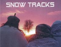 Cheryl Beer - Snow Tracks