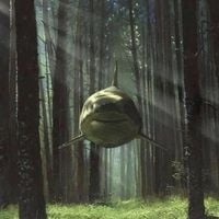 The Grombbles - Flying Shark