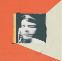 Wild Nothing - Suburban Solutions
