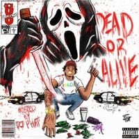 Zelly Ocho - Dead or Alive