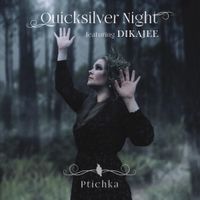 Quicksilver Night - Ptichka