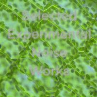 Webcops - Selected Experimental Works