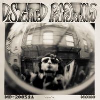 Mario DiSanto - Distorted Proportions