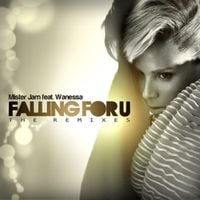 Wanessa Camargo - Falling For U