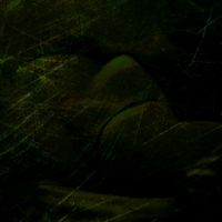 Revelation Of The Dead Girl - Recovery Of Tenderness
