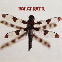 Rat at Rat R - Rat at Rat R