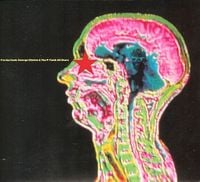 George Clinton & The P-Funk All-Stars - P Is the Funk