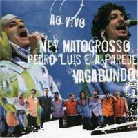 Ney Matogrosso - Vagabundo (Ao Vivo)