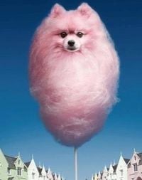 Ruben Slikk - CANDYFLOSS