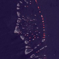 Cooper Bowman - The Isle of Isms