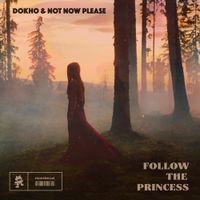 Dokho & Not Now Please - Follow the Princess