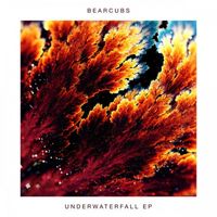 Bearcubs - Underwaterfall
