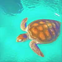 Liquify - Tales of the Turquoise Turtle