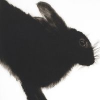 Panik Deluxe - Without Hope I Am Nothing