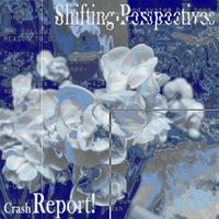 Shifting Perspectives - Crash Report!