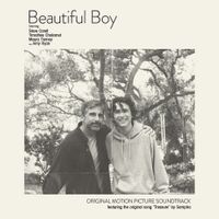 Various Artists - Beautiful Boy