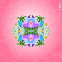 Mula - AGUAS