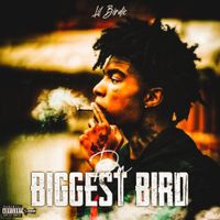 220LilBirdie - Da Biggest Bird