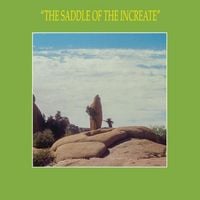 Sun Araw - The Saddle of the Increate
