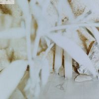 Model/Actriz - Winnipesaukee