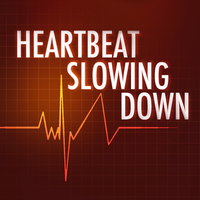 The All-American Rejects - Heartbeat Slowing Down