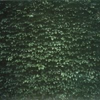 Tarentel - The Order of Things
