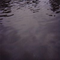 Tarentel - We Move Through Weather