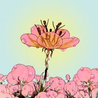 Droll - Bitter Flower