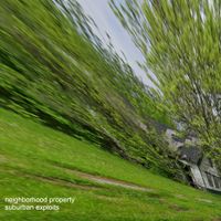 Neighborhood Property - suburban exploits