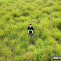 ((platinum)) - rip 7 demotape