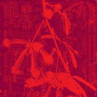Hidden Horse - Incorporeal