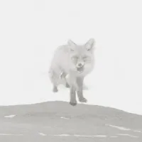 缺省 [Default] - 共同的土地 [A Mutual Ground]