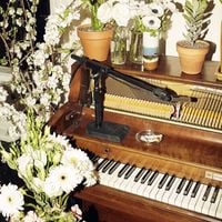 Emile Haynie - Wait for Life