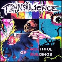 Transilience - Mouthful of Buildings