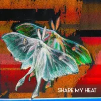 The Joy Formidable - Share My Heat