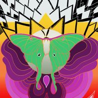 The Joy Formidable - Cut Your Face