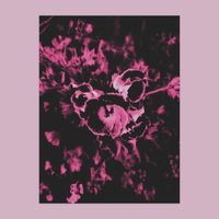 Alyssa Blak - Hold A Mirror To Your Eye, Who Do You See In Its Reflection?