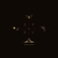 Spurv - Brefj&aelig;re