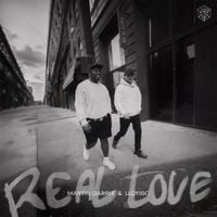 Martin Garrix - Real Love