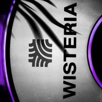 Mart Avi - Wisteria