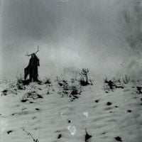 ash2ash - WHERE THE MOTHS GO