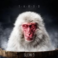 Slow J - The Art of Slowing Down