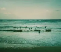 Blu-Swing - Secret of Attraction