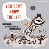 Jamie Saft - You Don't Know The Life