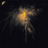 Daisuke Tanabe - Flowers On A Wall