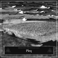 Pleq - SSS Podcast #001