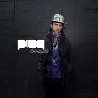 Pleq - Intelligible