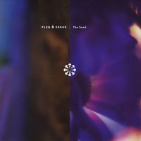 Pleq - The Seed