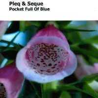 Pleq - Pocket Full of Blue